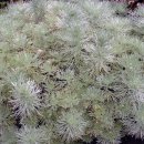 한수농장 이미지