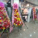 소녀감성핏 일산풍동점 이미지