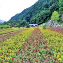 청수호수공원 이미지