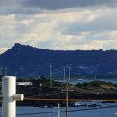 성산 동백소랑 이미지