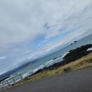 사우스사계 이미지