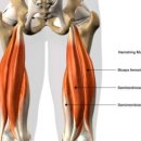 플렉스짐 야당점 이미지