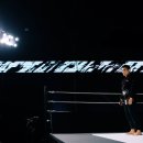 아레나주짓수 이미지