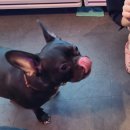 카우보이치킨 자곡점 | 김포맛집 / 풍무맛집 [카우보이통닭] 전기구이 옛날통닭 치킨 술집