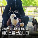 현대유통 | 이미스 미니 백팩 리뷰