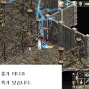 홍가 이미지