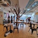 하늘을 걷는 고양이 카페 이미지