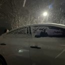 조치원 파닭 두마리치킨 이미지