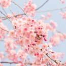 참조은산부인과 이미지