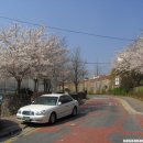 개나리3차 아파트 앞 이미지