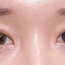 하파크리스틴 압구정로데오점 이미지