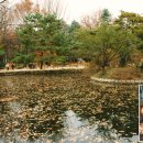 [新서울견문록 ⑤ 종로구] 변함 없는 대한민국 1번지 이미지