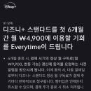 디즈니 플러스(스탠다드) 6개월 이용하실 2분 구합니다 이미지