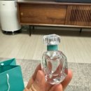 티파니(TIFFANY) | Tiffany &amp; Co. 티파니 향수 세트 💙 롯데월드몰 구매후기