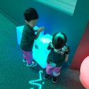 [지역사회연계활동] 부산창의융합교육원에 다녀왔어요🐟🫀 이미지