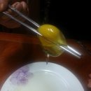 유나네 자연숲 농장 이미지