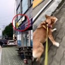 홈종합동물병원 이미지