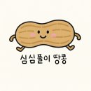 파스타호텔 | 호텔 더본 제주》 제주도 거기 백종원이 하는 호텔 있잖아 /디럭스트리플, 탐라파스타, 내돈내산 솔직후기