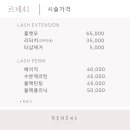 르네41