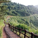 제주 사라봉 일제동굴진지 이미지