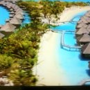 게으른 날 이미지