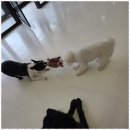 놀다가개유치원 이미지