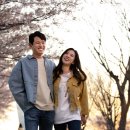 신황제 이미지