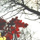 유일여인숙 이미지