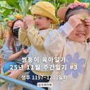 1197 | 2025-11 주간 육아일기 #3 - 쌍둥이 생후 1197일차~1203일차