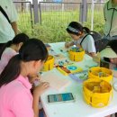 드로잉&수채화(미술) 이미지