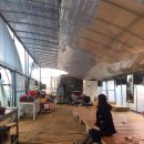 표씨농장 이미지