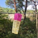 영축산(靈鷲山) 통도사(通度寺) 개산대재가 열리고 있네요 이미지
