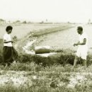 술렁술렁 이미지