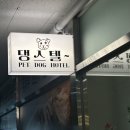 댕스텔 네이버블로그