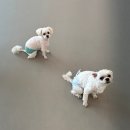 토리의하루