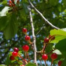 강화성지 이미지