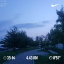 이펙트안경원 | 190729-190731 칠월의 마지막 일상