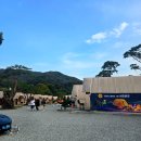 단합 | 서초바글 :: 청계산 가족 &amp; 회사 단합 장소 리얼 후기!!