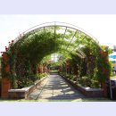 곡성-080 이미지