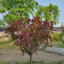 흥해시장 이미지