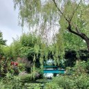 모네정원 이미지