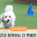 댕시티 이미지