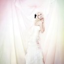 로사헤어클럽 이미지