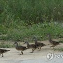 서덕들 화장실 연합뉴스