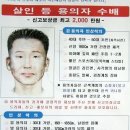 천안전단