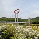 위천수변 테마공원 네이버블로그