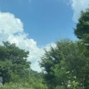 쌍용약국 이미지