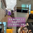중앙하이츠마트(나들가게) | 통영 애견동반숙소 <퍼플하우스> C동 가성비 독채
