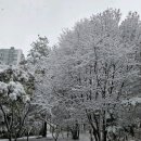 경희늘해랑한의원 이미지