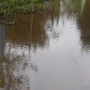 소구월사거리 이미지